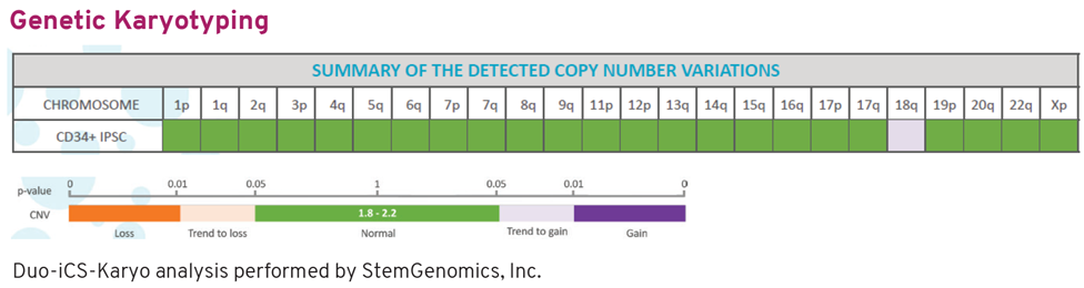 CD34+ Genetic Karyotyping