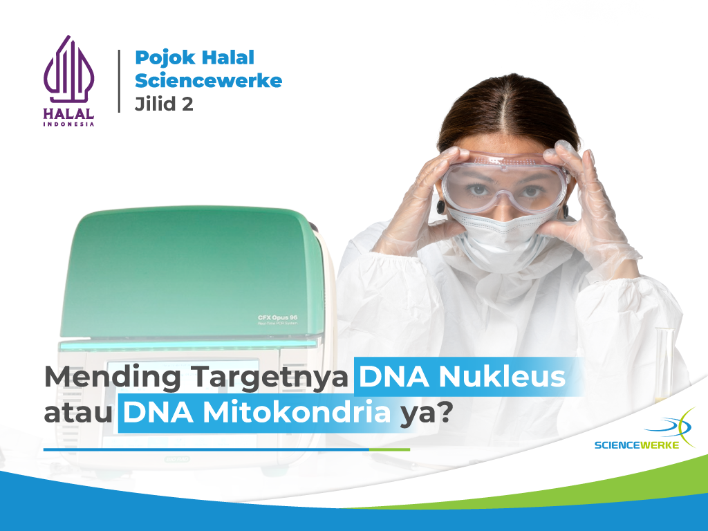 Pojok Halal Sciencewerke: Scientific Halal Investigation