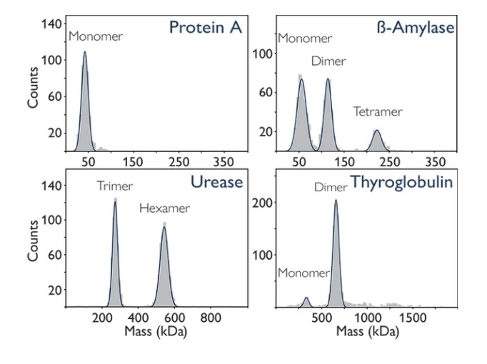 Mass Photometry Protein-DNA Interaction