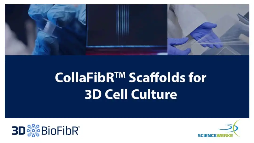 CollaFibR™ scaffolds for 3D cell culture