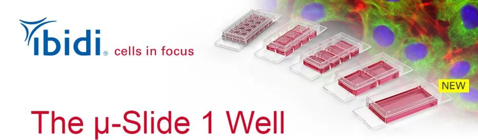 Sciencewerke