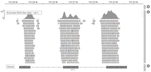 genome browser