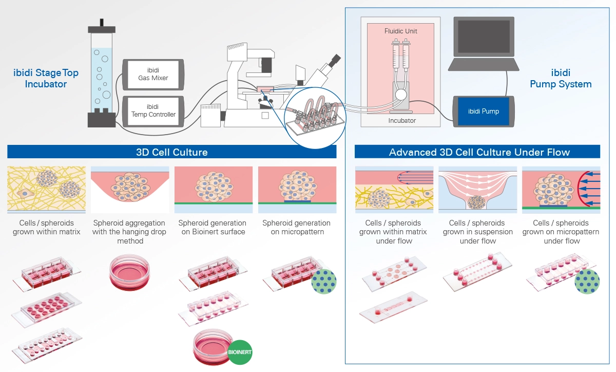 Your Comprehensive 3D Cell Culture Research Solutions!