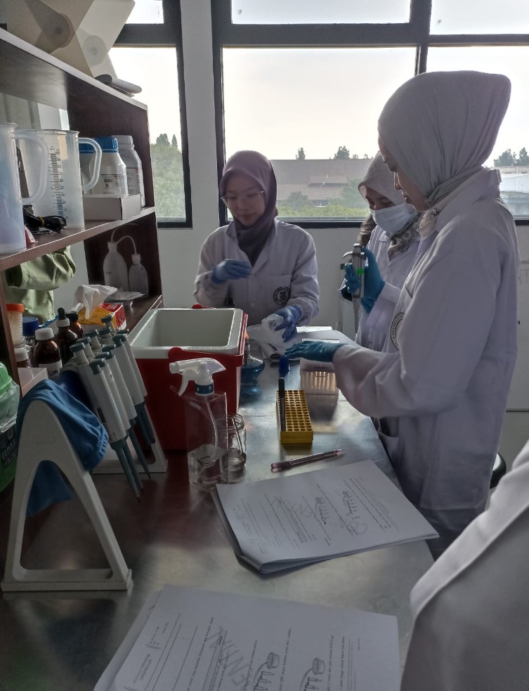 sciencewerke