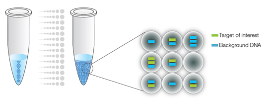 Sciencewerke