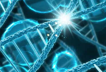 Cell Culture & Imaging