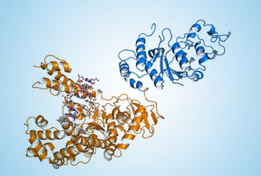 Proteomic Solutions