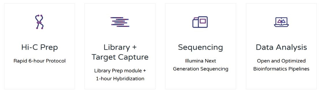 Promoter Capture HiC Workflow